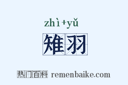 雉羽是什么意思的图片